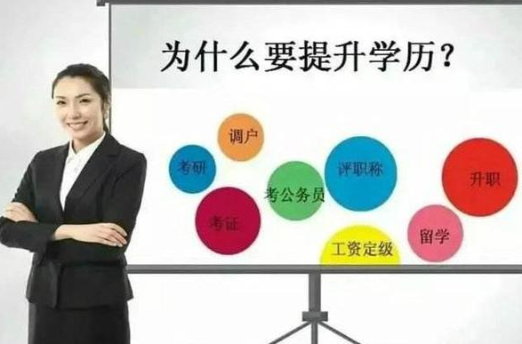 成都领孚教育咨询有限公司